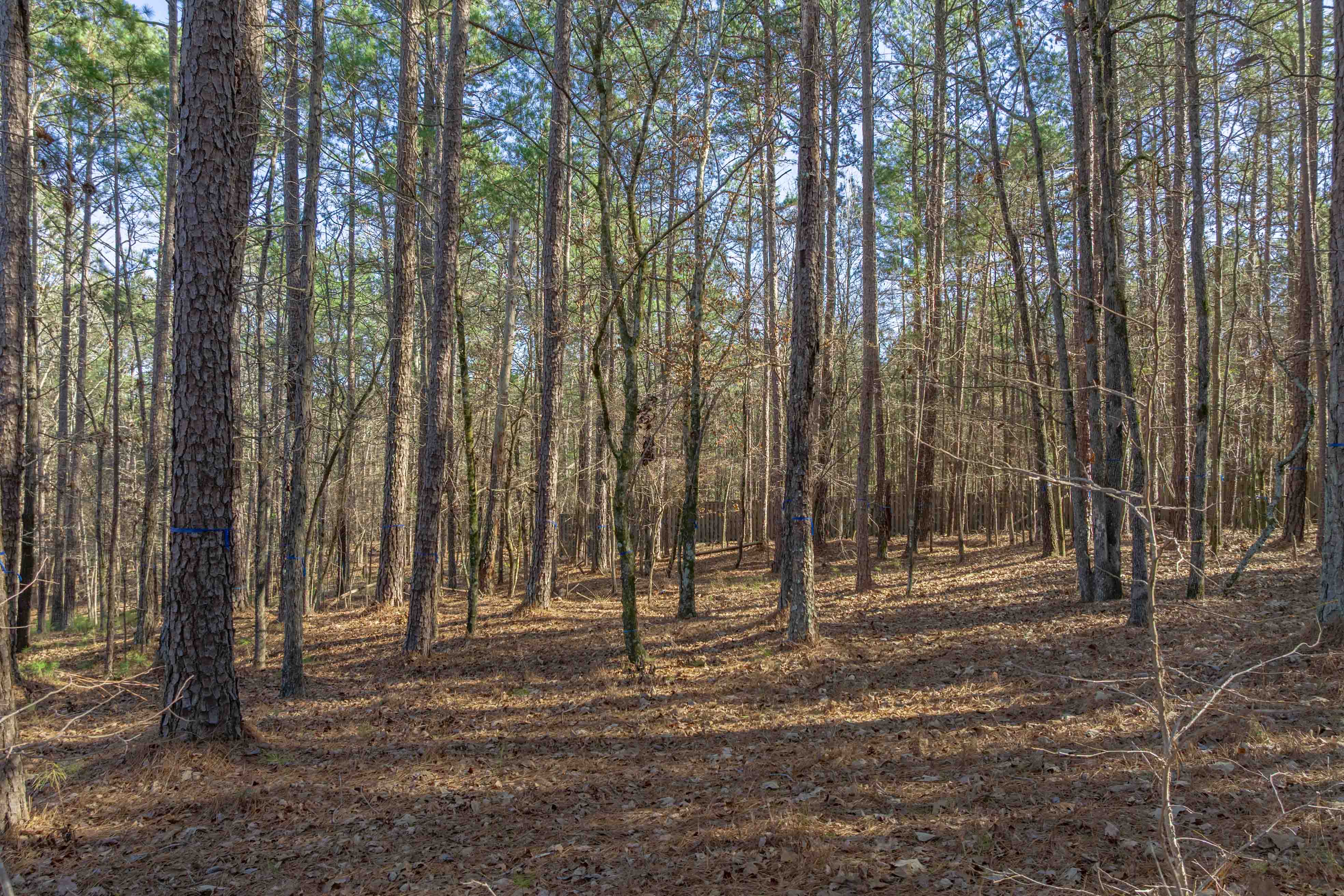 1030 Aker's Knoll image 7